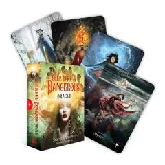 Coperta cărții Deep Dark & Dangerous: The Oracle of the Beautiful Darkness (44 full-color cards and 128-page book)