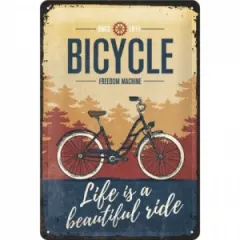 Coperta cărții Placa metalica 20x30 Bicycle, Beautiful Ride