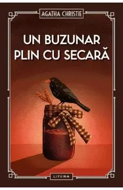 Coperta cărții Un buzunar plin cu secara