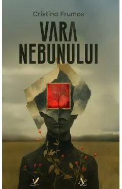 Coperta cărții Vara nebunului