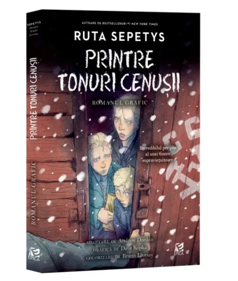 Coperta cărții Printre tonuri cenușii