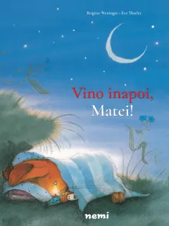 Coperta cărții Vino înapoi, Matei!