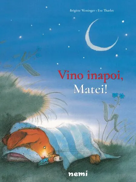 Coperta cărții Vino înapoi, Matei!