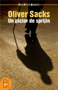 Coperta cărții Un picior de sprijin (pdf)