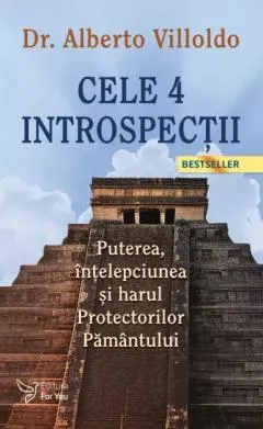 Coperta cărții Cele 4 introspectii. Puterea, intelepciunea si harul Protectorilor Pamantului