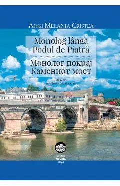 Coperta cărții Monolog langa Podul de Piatra
