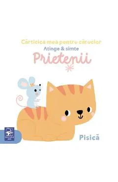Coperta cărții Prietenii! Atinge si simte. Carticica mea pentru carucior