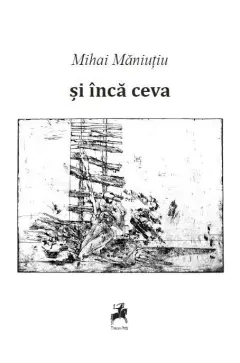 Coperta cărții și încă ceva