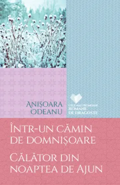 Coperta cărții Într-un cămin de domnișoare. Călător din noaptea de Ajun