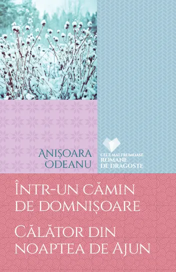 Coperta cărții Într-un cămin de domnișoare. Călător din noaptea de Ajun