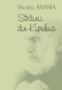 Coperta cărții Străinii din Kipukua