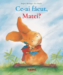 Coperta cărții Ce-ai făcut, Matei?