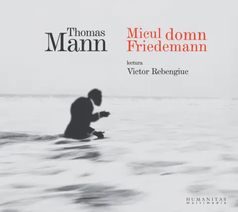 Coperta cărții Micul domn Friedemann