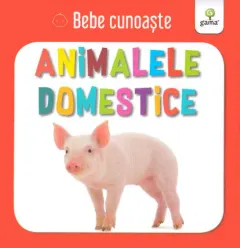 Coperta cărții Bebe cunoaste. Animalele domestice