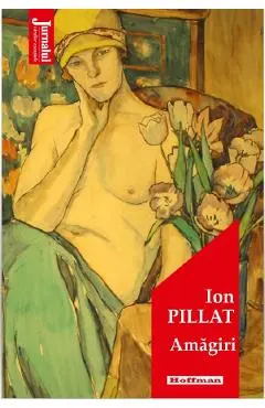 Coperta cărții Amagiri
