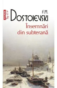 Coperta cărții Insemnari din subterana