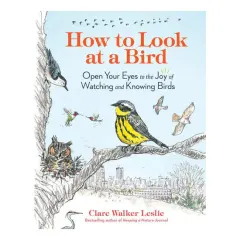 Coperta cărții How to look at a bird: open your eyes to the joy of watching and knowing birds