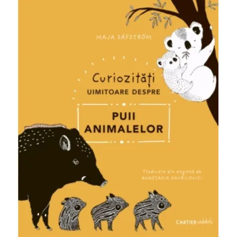 Coperta cărții Curiozități uimitoare despre puii animalelor