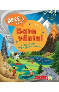 Coperta cărții De ce? Bate vantul si alte intrebari despre planeta noastra