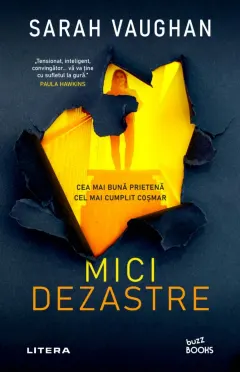 Coperta cărții Mici dezastre