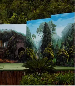 Coperta cărții Lovisa Ringborg: Phantom Limbs