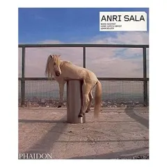 Coperta cărții Anri Sala, Anri Sala