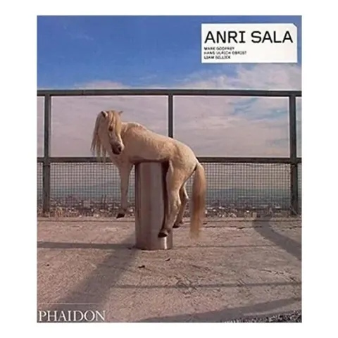 Coperta cărții Anri Sala, Anri Sala
