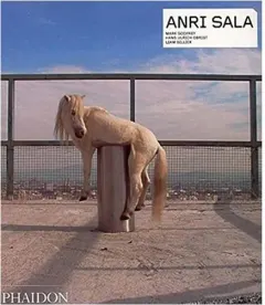Coperta cărții Anri Sala, Anri Sala