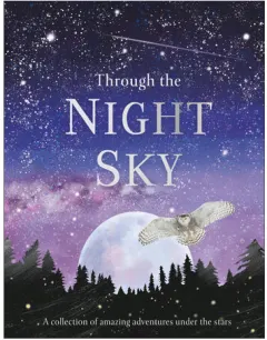 Coperta cărții Through the night sky