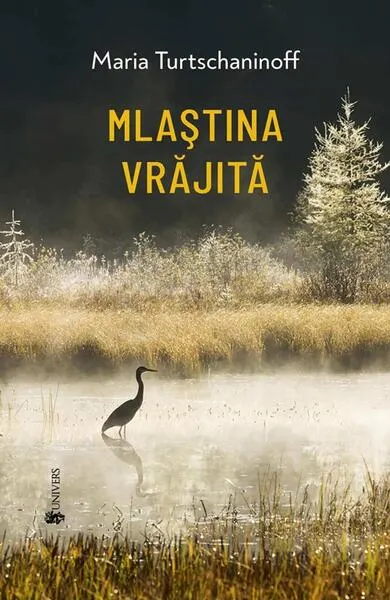 Coperta cărții Mlaștina vrăjită