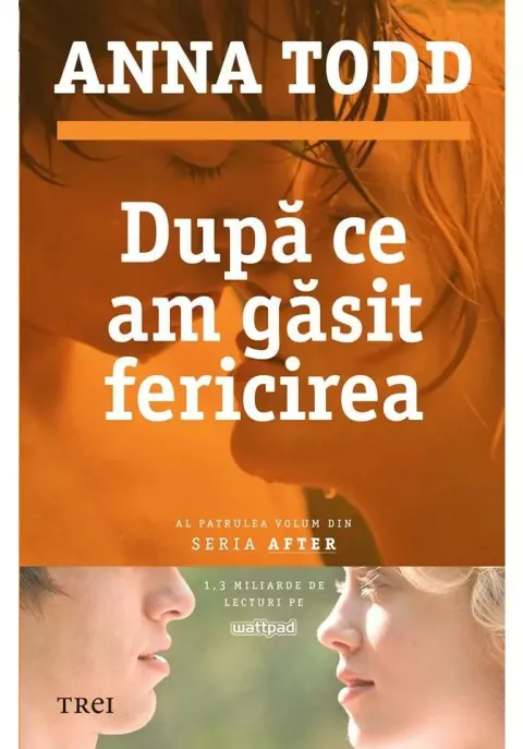 Coperta cărții Dupa ce am gasit fericirea