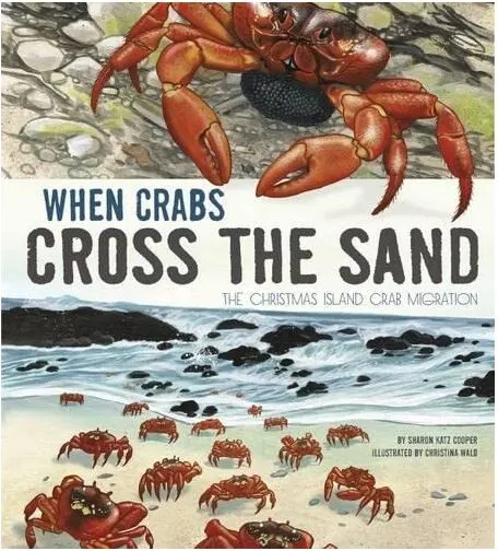 Coperta cărții When Crabs Cross the Sand