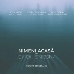 Coperta cărții Nimeni acasa / Missing Home