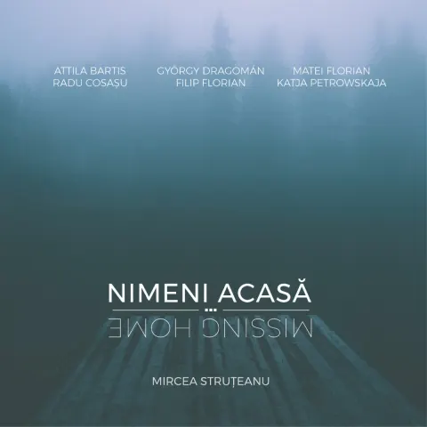 Coperta cărții Nimeni acasa / Missing Home