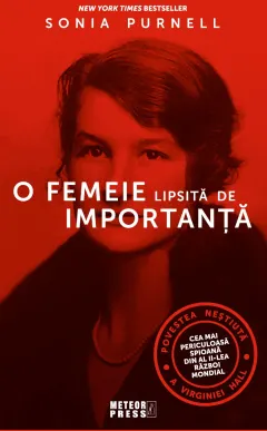 Coperta cărții O femeie lipsita de importanta