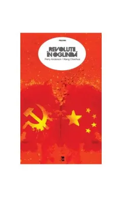 Coperta cărții Revoluții în oglindă