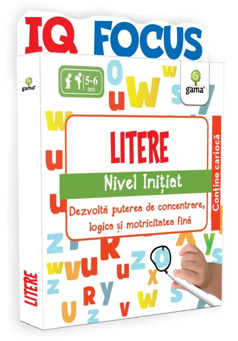 Coperta cărții Litere • nivel Initiat