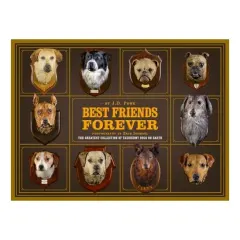Coperta cărții Best Friend Forever