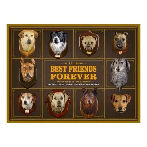 Coperta cărții Best Friend Forever