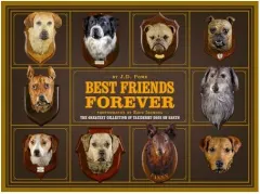 Coperta cărții Best Friend Forever