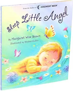 Coperta cărții Sleep Little Angel