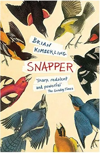 Coperta cărții Snapper