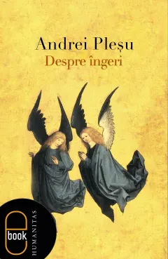 Coperta cărții Despre îngeri (ebook)