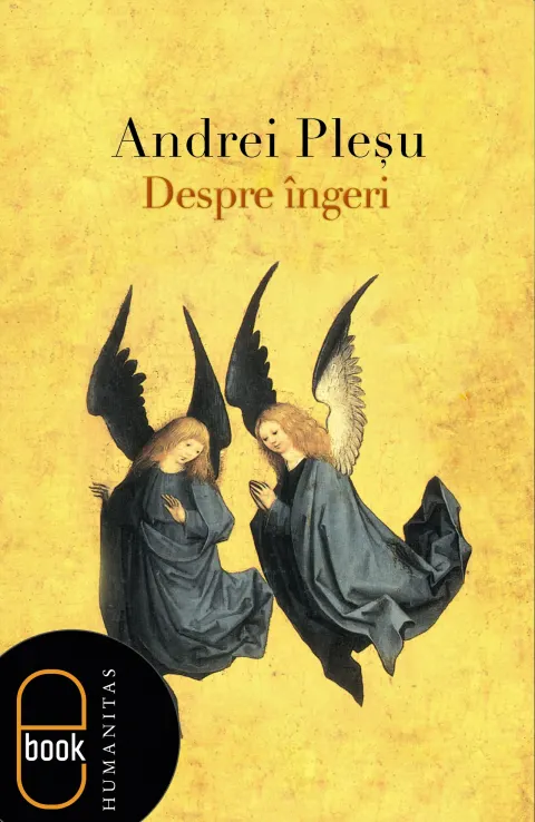 Coperta cărții Despre îngeri (ebook)