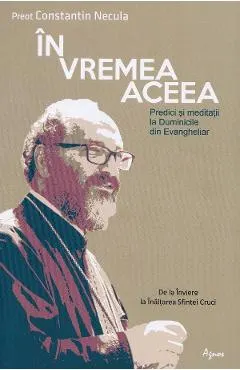Coperta cărții In vremea aceea - Constantin Necula