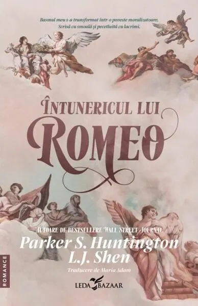Coperta cărții Întunericul lui Romeo