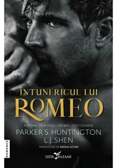 Coperta cărții Întunericul lui Romeo