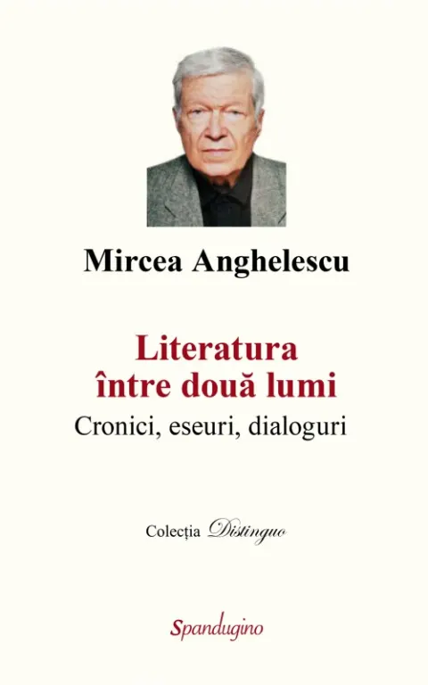 Coperta cărții Literatura între două lumi