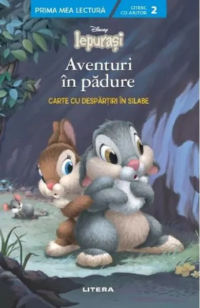 Coperta cărții Disney. Iepurasi: Aventuri in padure. Carte cu despartiri in silabe
