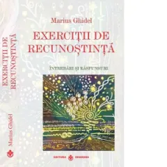 Coperta cărții Exercitii de recunostinta. Intrebari si raspunderi